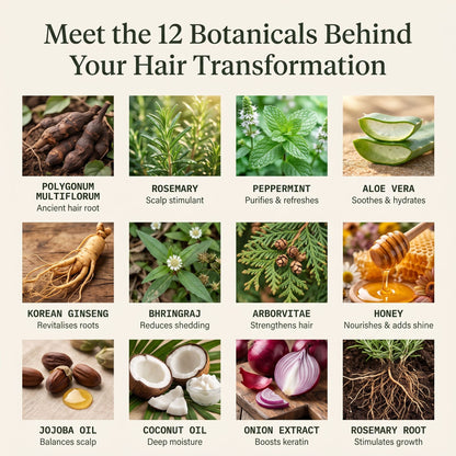 Korean Scalp Revival Bar